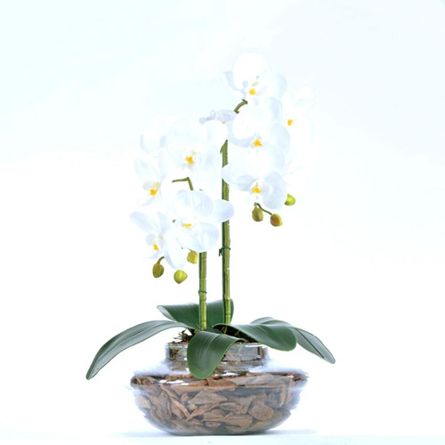 Arranjo De Orquídea Artificial Branca Em Terrário Pequeno Vi