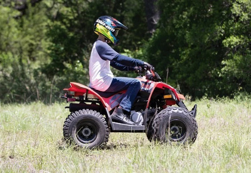 Imagem 4 de 5 de Quadriciclo Can-am Ds 90cc 2022 - Pronta Entrega Em Até 60x