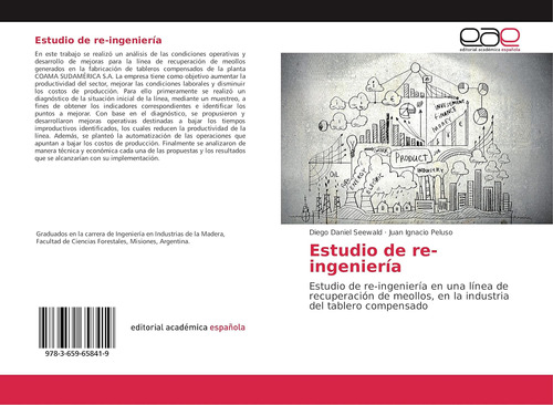 Libro: Estudio De Re-ingeniería: Estudio De Re-ingeniería En