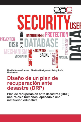 Libro: Diseño De Un Plan De Recuperación Ante Desastre (drp)