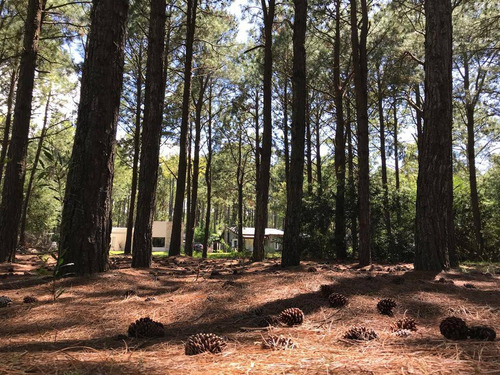 Terreno / Lote En Venta De 899m2 Ubicado En Frontera