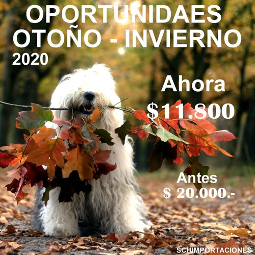 Nueva Cruz Egipcia Ankh, Acero - Ansada - Aton Especial