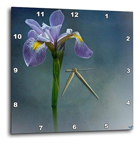 Reloj De Pared Floral De La Flor Del Mosaico Del Iris 3drose