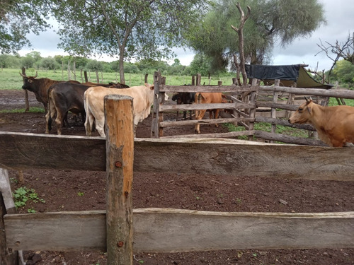 Campo Sobre Ruta