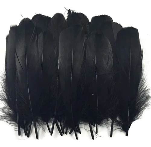 Plumas Decorativas Artificiales Color Negro Paquete X 100