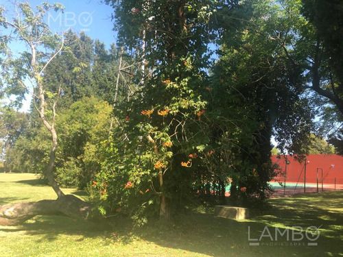 Imagen 9 de 20 de Venta Lote Manzanares La Ranita