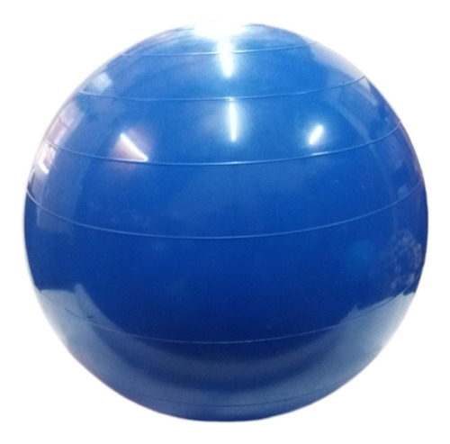 Imagen 2 de 5 de Gym Ball. Pelota De Fitness 55 Cm. 1000gr Fitness