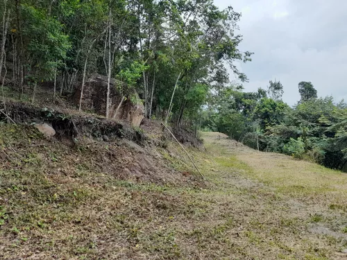 Finca Viotá Vereda Calandaima