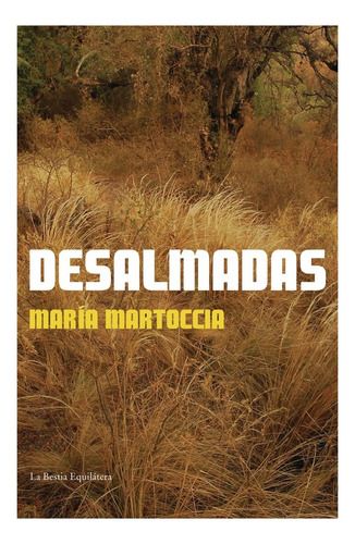 Desalmadas | María Martoccia | Novela | Edit. Lbe 