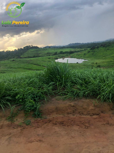 Imagem 8 de 15 de Fazenda À Venda Em Pacajá - Pa 692,12 Hectares - 2094