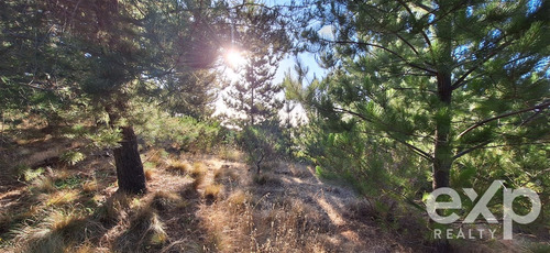 Vende Rebajado Parcela 1 Has Con Vista Al Mar, Pichilemu