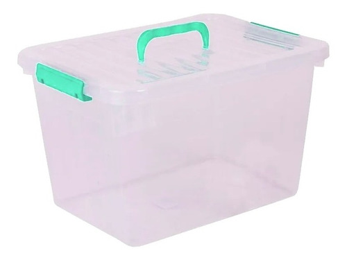 Caja Organizadora Plastica Floresta Tapa 38x28x23 Con Trabas