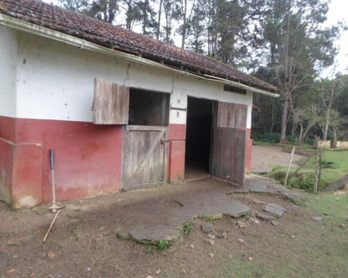 Imagem 14 de 14 de Sítio - 04127 - 33228998