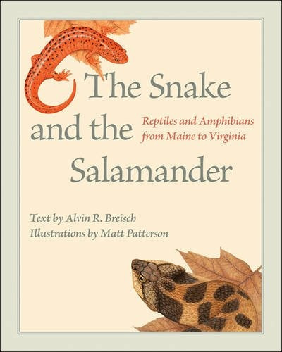 The Snake And The Salamander Reptiles And Amphibians From Ma