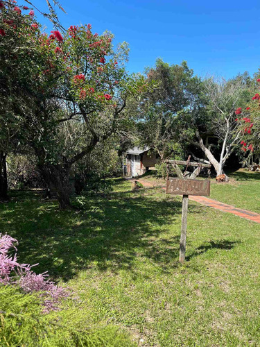 Imagen 10 de 25 de Alquiler Punta Rubia Rocha - Casa Almalú