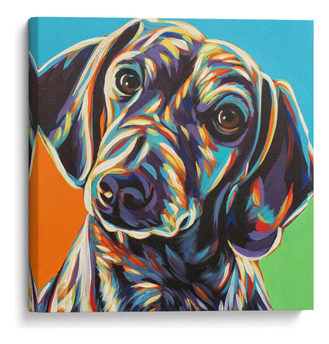 Canvas Lab Cuadro Dachshund Pintado Ii 20x20