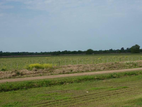 Excepcional Parcela De Campo De 16 Has. Ubicada Sobre Autopista Rosario - Córdoba ( A La Altura De Roldán) - Pcia De Santa Fe