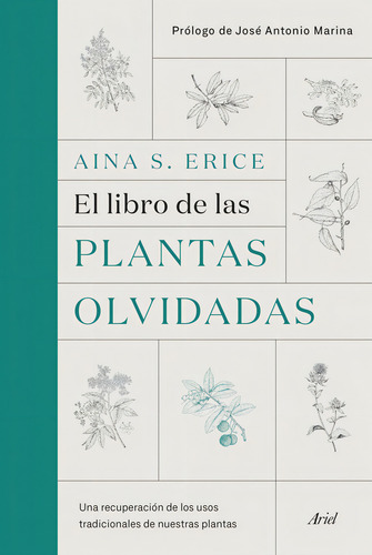 Libro De Las Plantas Olvidadas, El / Una Recuperacion De Los Usos Tradicionales De Nuestras Plantas, De Aina S. Erice. Editorial Ariel En Español