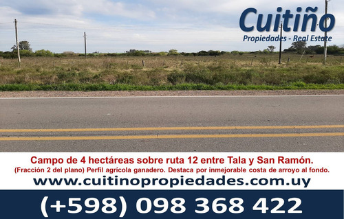 Imagen 2 de 7 de Campo 4 Hectareas Con Arroyo Sobre Ruta 12 En Tala