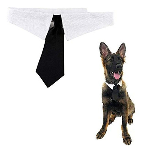 Midlee Formal Black Dog Tie Por