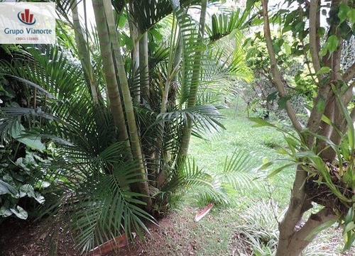 Sobrado A Venda No Bairro Vila Pereira Barreto Em São Paulo - 12604e-1