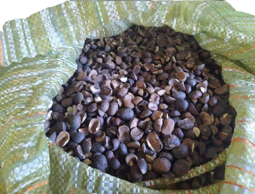 Cafe De Mojo,capomo,nuez De Ramon, Nuez Maya 1/2 Kg