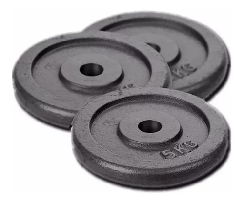 Imagen 1 de 1 de Disco De Fundicion De 1,25 Kg