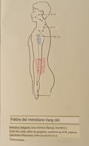 Imagen 9 de 9 de Lapiz De Acupuntura Elimina Dolencias!! +estuche+gel Conduct