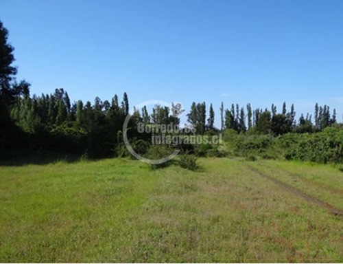 Terreno Construccion En Venta En Cabrero Bulnes Chamavida Yu