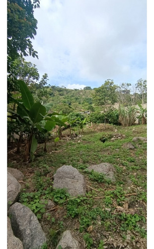 Se Vende Terreno En La Arboleda. Ve22-091arb-yceg
