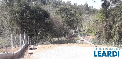 Imagem 12 de 15 de Area - Paruru - Sp - 587641