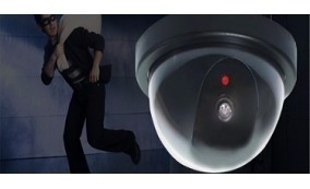 Camara Falsa Led Rojo Intermit. Domo Apariencia Rea X 3 Un.