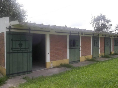Imagen 29 de 30 de Casa-quinta En Venta En La Plata | Avda. 137 E/600y605 (16 Has)
