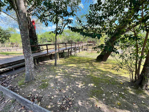 Imagen 25 de 26 de Alquiler De Casa / Cabaña En El Delta De Tigre