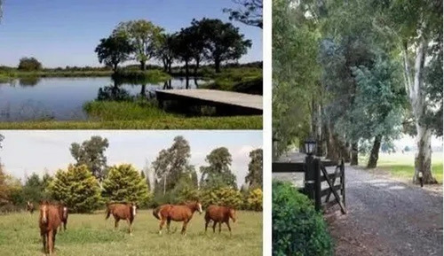 Imagen 10 de 13 de El Campo Cardales Terreno