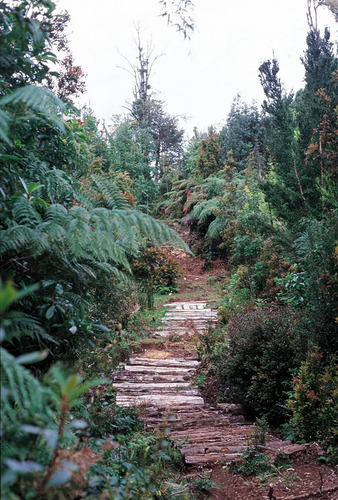 Agrícola En Venta En Hualaihue