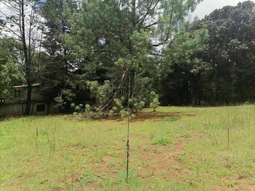 Imagen 7 de 10 de Terreno En Venta Los Alcanfores