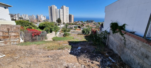 Imagen 5 de 8 de Concón Alto