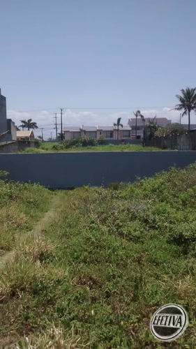 Imagem 8 de 14 de Área De 1.532,00 M² - Balneário Nereidas - 1018t
