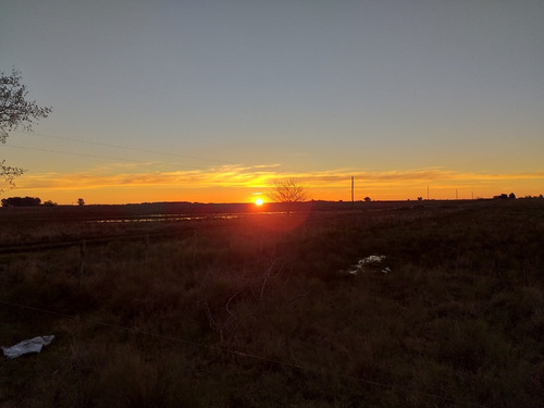 Campo En Venta En Punta Indio 38 Hectáreas
