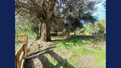 Imagen 7 de 17 de Venta Lote/terreno De 1906m2 Permite 2 Volúmenes, Plano Y Limpio, Epulafquen, Villa La Angostura