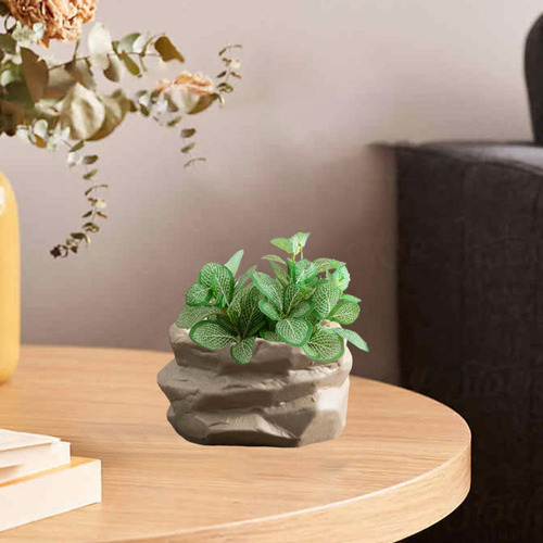 Maceta De Cerámica Para Suculentas, Cactus, Ideal Estilo B