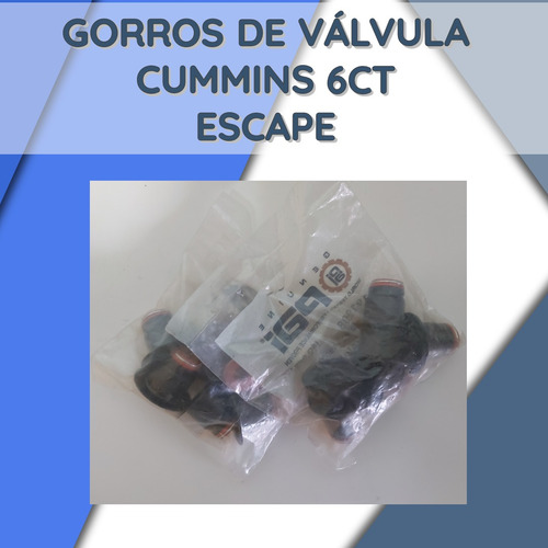 Gorros/sellos De Valvula Cummins (06) 6ct/isc/isl(escape)