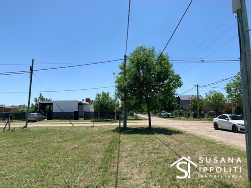 Imagen 3 de 14 de Lotes Con Orientación Este De 518m2 En Roldán
