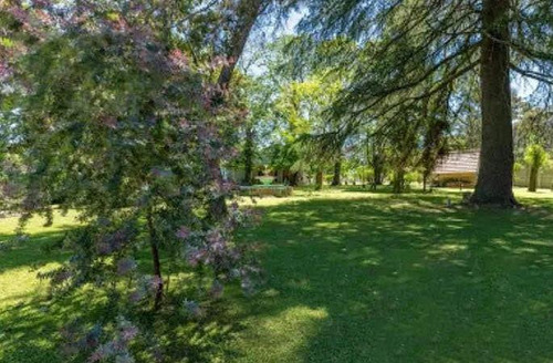 Imagen 3 de 29 de Casa Venta 2 Dormitorios 2 Baños 1 Cochera 15000 Mts 2 Totales - Villa Elisa