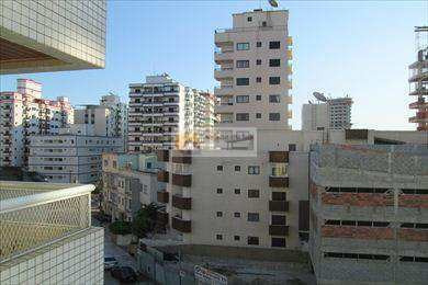 Imagem 6 de 22 de Apartamento Dois Dormitorios Com Suite Vila Guilhermina Para Venda - V2364