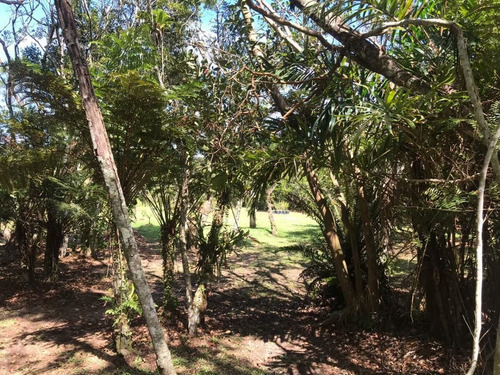 Imagem 15 de 30 de Garagem À Venda Em Florianópolis/sc - Ps07
