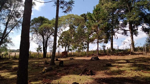 Imagem 5 de 14 de Casa Madeira 9 Comodos 1 Banheiro, 3 Paiois, 4 Tanques Peixe
