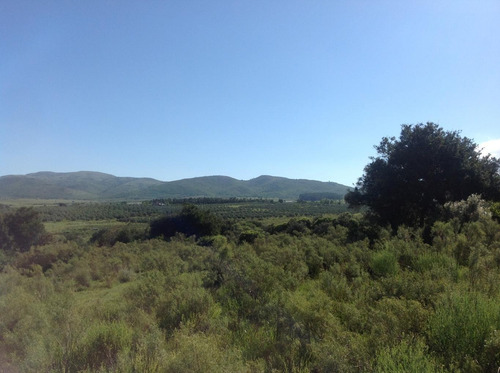 Chacra En Sierra De Las Animas