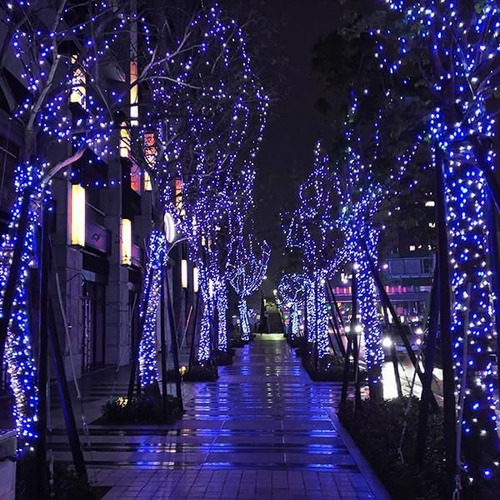 Luces Navidad 50metros De Luces Led Azul 240 Luces